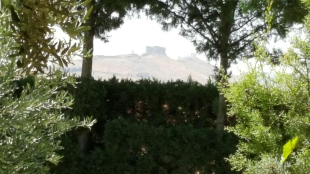 La Habanerita Villa Consuegra Exteriör bild
